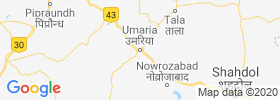 Umaria map
